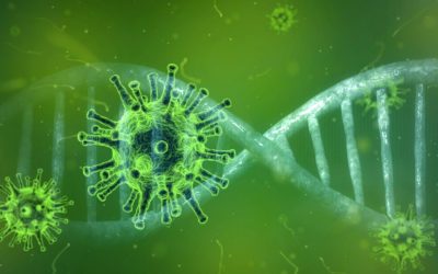 Betriebsschließung durch Coronavirus?